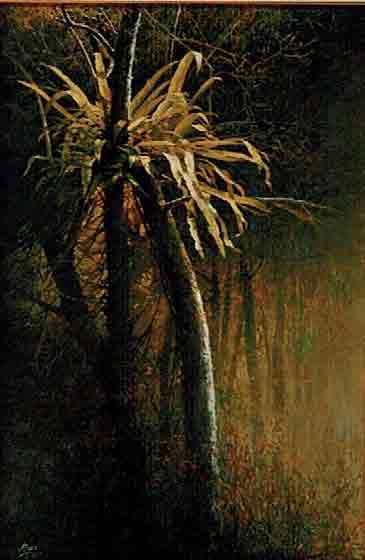 chawana-fern-oil-on-canvas-71x48cm.jpg