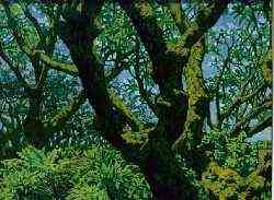 tree_oil-no.7-100x80cm.jpg